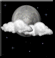 Cloudy and windy Cloudy and windy